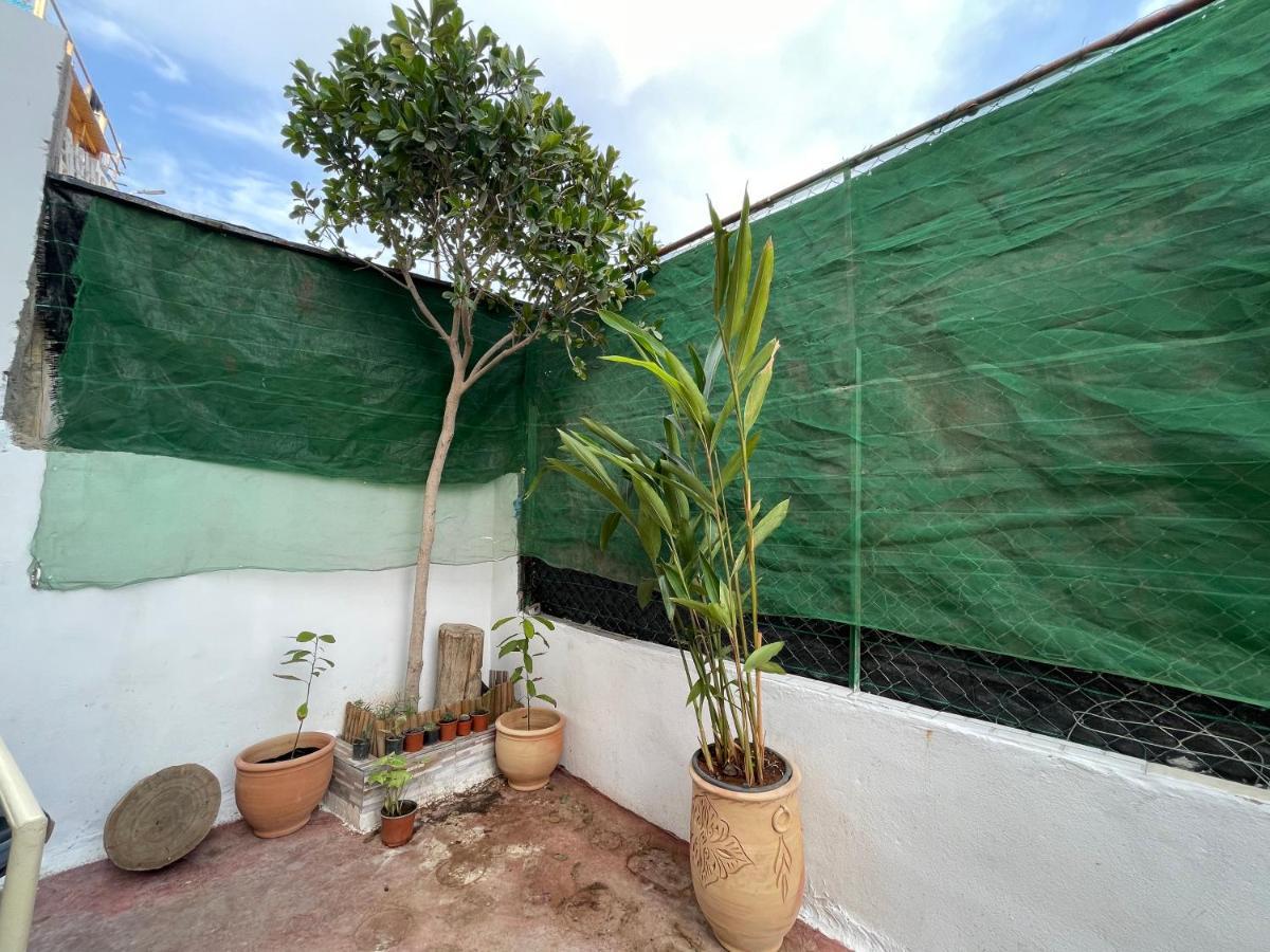 Jungle Surf House Taghazout Exterior foto