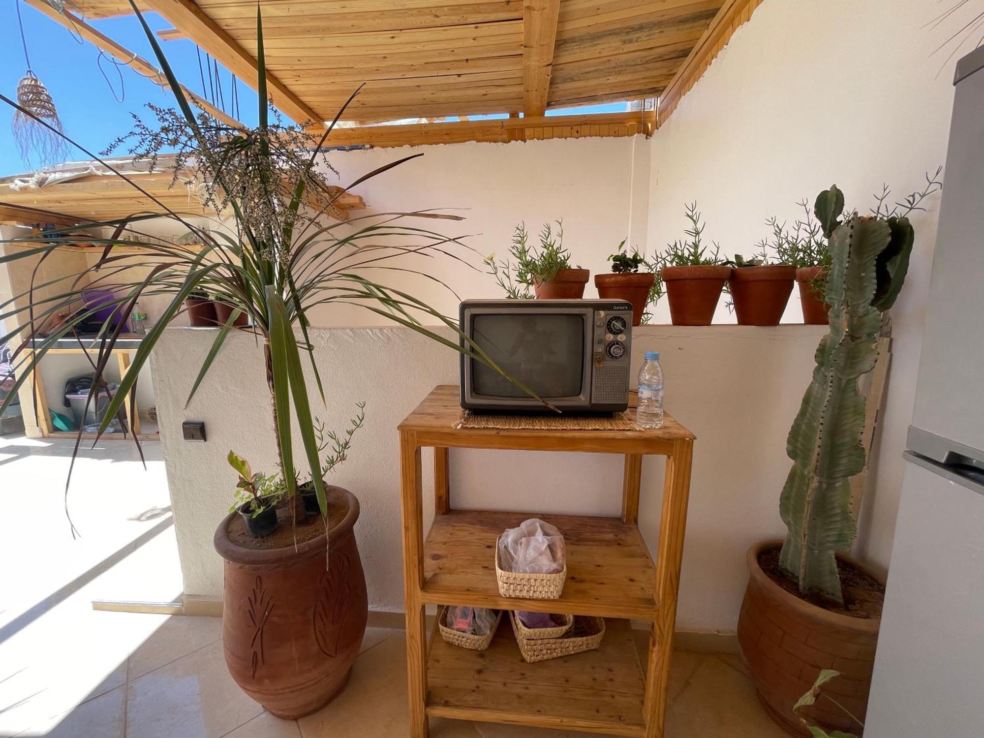 Jungle Surf House Taghazout Exterior foto