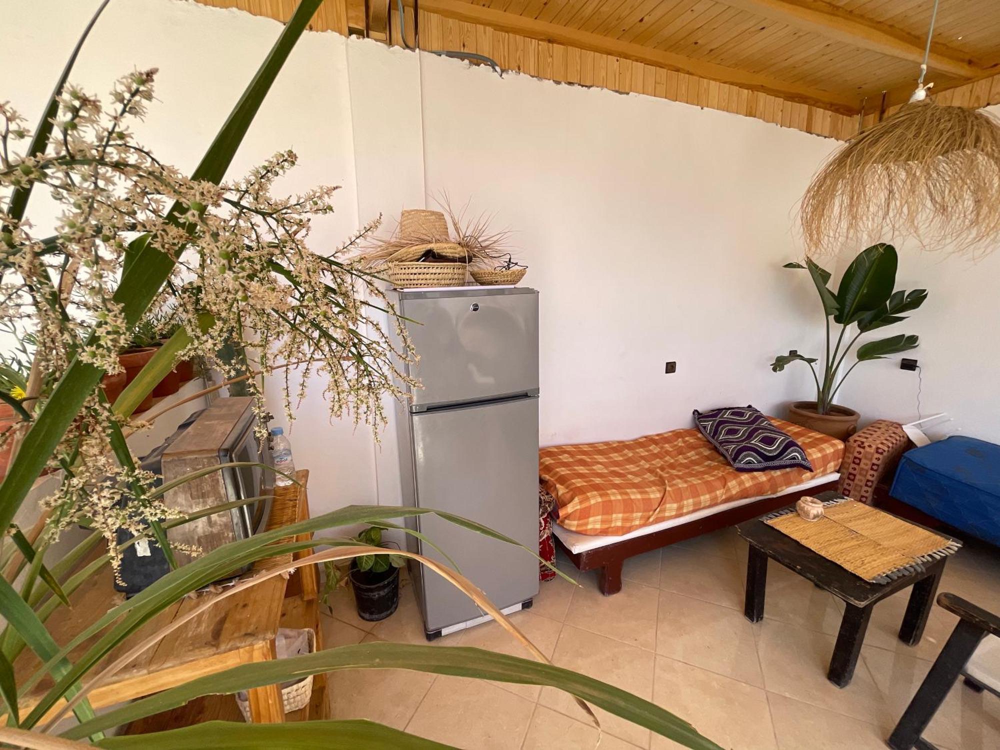 Jungle Surf House Taghazout Exterior foto